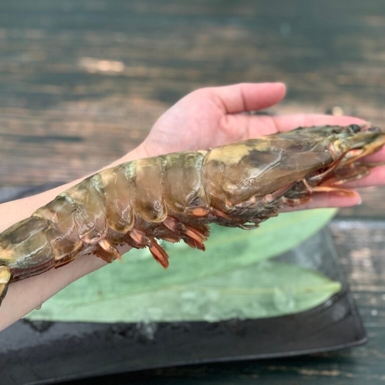 Extra large black tiger prawns, sent live frozen. photo review